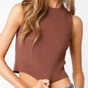 Olivaceous Brown Ribbed Knit Top